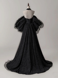 Black A- Line Tulle Long Prom Dress Long Formal Dress HZ1024