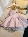 Simple A Line Spaghetti Straps Pink Short Homecoming Dresses 18th Birthday Outfit HZ1024