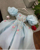Elegant A Line Square Neckline Blue Organza Long Prom Dresses Party Dress HZ1024