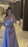 Classy Sheath Strapless Long Sleeves Lilac Long Satin Party Dress Prom Dresses Evening Dress HZ1024