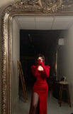 New Sheath Square Neckline Long Sleeves Red Split Evening Dress Prom Dresses HZ1024