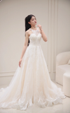 Princess A Line Halter Tulle Lace Long Wedding Dresses HZ1024