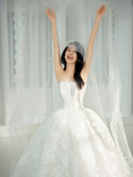 Classy Elegant A Line Strapless White Tulle Lace With Veil Long Wedding Dresses HZ1024
