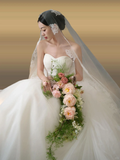 Princerss Ball Gown Strapless Satin Tulle With Veil Long Wedding Dresses HZ1024