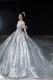Timeless Ball Gown Off The Shoulder Tulle Sequin Long Wedding Dresses HZ1024
