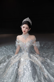 Timeless Ball Gown Off The Shoulder Tulle Sequin Long Wedding Dresses HZ1024