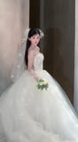 Dreamy Ball Gown Strapless Tulle Applique With Veil Long Wedding Dresses HZ1024
