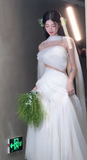 Chic Mermaid Strapless Chiffon Long Wedding Dresses HZ1024