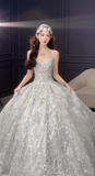 Glitter Ball Gown Strapless Tulle Sequin Long Wedding Dresses HZ1024