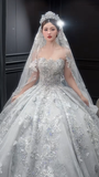 Dreamy Ball Gown Strapless Tulle Sequin Beaded With Veil Long Wedding Dresses HZ1024