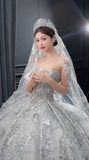 Dreamy Ball Gown Strapless Tulle Sequin Beaded With Veil Long Wedding Dresses HZ1024