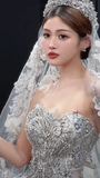 Dreamy Ball Gown Strapless Tulle Sequin Beaded With Veil Long Wedding Dresses HZ1024