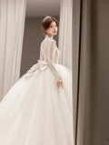 Unique Ball Gown Tulle Lace Long Sleeves Long Wedding Dresses HZ1024