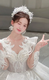 Unique Ball Gown Tulle Sequin Beaded Long Sleeves Long Wedding Dresses HZ1024