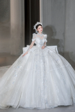 Timeless Ball Gown Satin Tulle Sequin Beaded Long Sleeves Long Wedding Dresses HZ1024