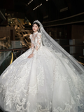 Dreamy Ball Gown Tulle Lace Applique Long Sleeves With Veil Long Wedding Dresses HZ1024