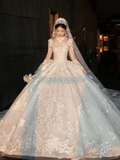 Dreamy Ball Gown Tulle Lace Applique Long Sleeves With Veil Long Wedding Dresses HZ1024