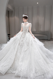 Gorgeous Ball Gown Tulle Sequin Long Sleeves Long Wedding Dresses HZ1024