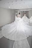 Gorgeous Ball Gown Tulle Sequin Long Sleeves Long Wedding Dresses HZ1024