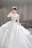 Gorgeous Ball Gown Tulle Sequin Long Sleeves Long Wedding Dresses HZ1024