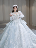 Timeless Ball Gown Tulle Sequin Beaded Long Sleeves Long Wedding Dresses HZ1024
