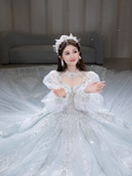 Timeless Ball Gown Tulle Sequin Beaded Long Sleeves Long Wedding Dresses HZ1024