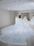 Timeless Ball Gown Tulle Sequin Beaded Long Sleeves Long Wedding Dresses HZ1024