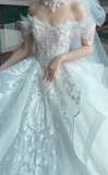 Dreamy Ball Gown Off The Shoulder White Tulle Lace With Veil Long Wedding Dresses HZ1024