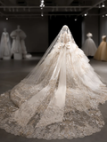 Luxurious Ball Gown Tulle Lace Sequin Beaded Long Sleeves With Veil Long Wedding Dresses HZ1024