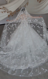Dreamy White Ball Gown Starpless Tulle Lace With Veil Long Wedding Dresses HZ1024