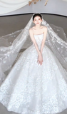 Dreamy White Ball Gown Starpless Tulle Lace With Veil Long Wedding Dresses HZ1024