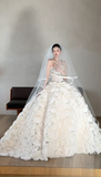 Unique Ball Gown Starpless Tulle With Veil Long Wedding Dresses HZ1024