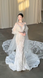 Dreamy Mermaid White Tulle Lace Long Sleeves With Veil Long Wedding Dresses HZ1024