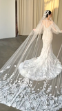 Dreamy Mermaid White Tulle Lace Long Sleeves With Veil Long Wedding Dresses HZ1024