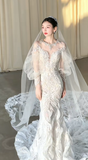 Dreamy Mermaid White Tulle Lace Long Sleeves With Veil Long Wedding Dresses HZ1024