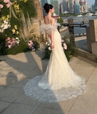 Pretty Mermaid Off The Shoulder Tulle Lace Long Wedding Dresses HZ1024