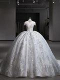 Timeless Ball Gown Tulle Sequin With Veil Long Wedding Dresses HZ1024