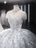 Timeless Ball Gown Tulle Sequin With Veil Long Wedding Dresses HZ1024