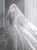 Timeless Ball Gown Tulle Sequin With Veil Long Wedding Dresses HZ1024