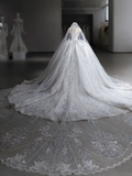 Timeless Ball Gown Tulle Sequin With Veil Long Wedding Dresses HZ1024