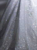 Timeless Ball Gown Tulle Sequin With Veil Long Wedding Dresses HZ1024