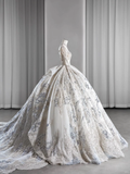 Timeless Ball Gown Tulle Lace Sequin Beaded Long Sleeves Long Wedding Dresses HZ1024