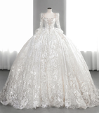 Timeless Ball Gown Tulle Lace Sequin Long Sleeves Long Wedding Dresses HZ1024