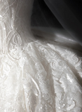 Timeless Ball Gown Tulle Lace Sequin Long Sleeves Long Wedding Dresses HZ1024