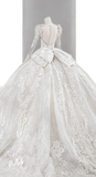 Timeless Ball Gown Tulle Lace Sequin Long Sleeves Long Wedding Dresses HZ1024