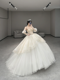 Dreamy Ball Gown Strapless Tulle Long Sleeves Long Wedding Dresses HZ1024