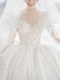 Timeless Ball Gown Tulle Lace Applique Long Sleeves With Veil Long Wedding Dresses HZ1024