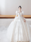 Timeless Ball Gown Tulle Lace Applique Long Sleeves With Veil Long Wedding Dresses HZ1024