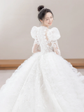 Timeless Ball Gown Tulle Lace Applique Long Sleeves With Veil Long Wedding Dresses HZ1024