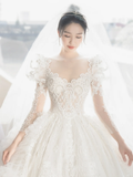 Timeless Ball Gown Tulle Lace Applique Long Sleeves With Veil Long Wedding Dresses HZ1024